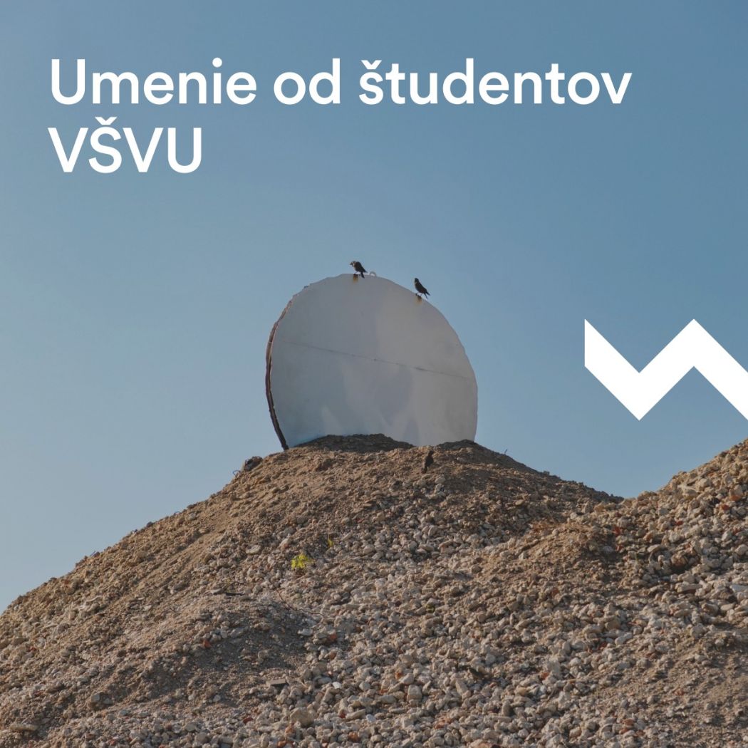 Plagát s nápisom „Umenie od študentov VŠVU“. Na fotografii je kopa štrku alebo stavebného materiálu, na ktorej vrchole stojí kruhový objekt, na ktorom sedia dva vtáky. V pozadí je jasná modrá obloha.