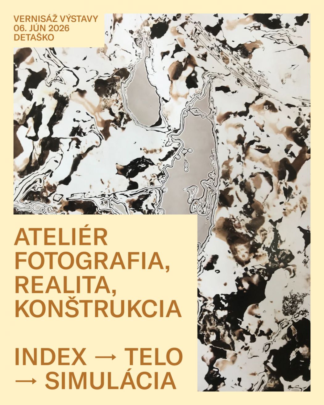 Poster for the exhibition of the Studio of Photography, Reality, Construction titled Index → Body → Simulation. Against a pale yellow background, the poster features a large abstract photograph with black, brown and light organic structures resembling a map, sediment, or a microscopic image. The upper left corner states: “Exhibition opening, 6 June 2026, Detaško”. In the lower left part, large brown text reads “Studio of Photography, Reality, Construction”, followed by the title “Index → Body → Simulation”.