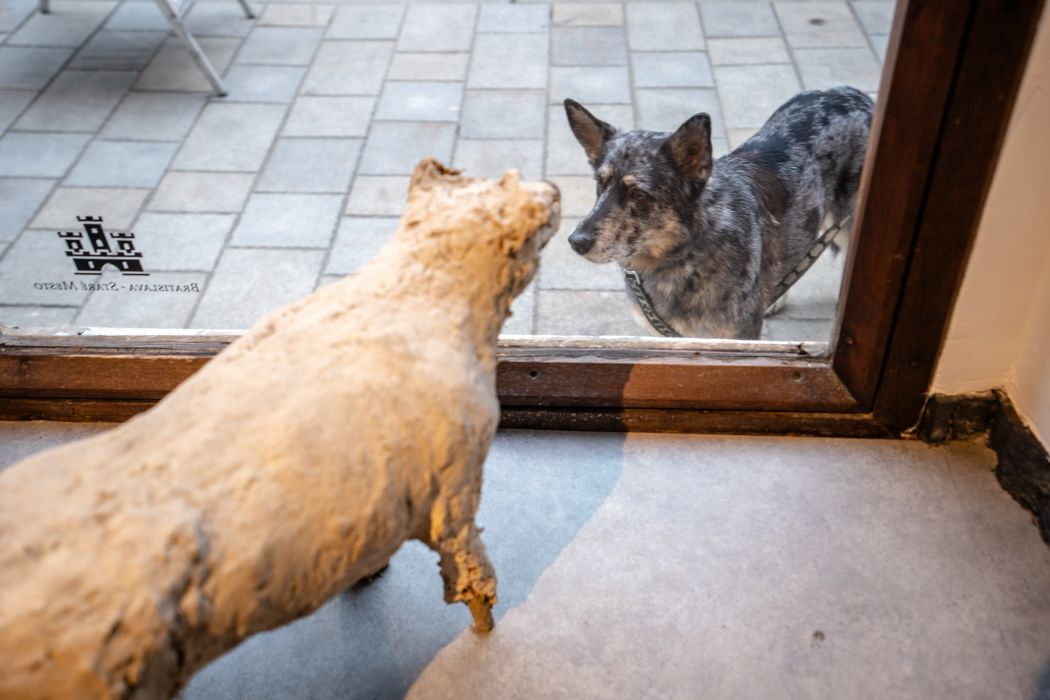 A dog stands outside a glass door, looking at an animal sculpture placed inside the gallery.