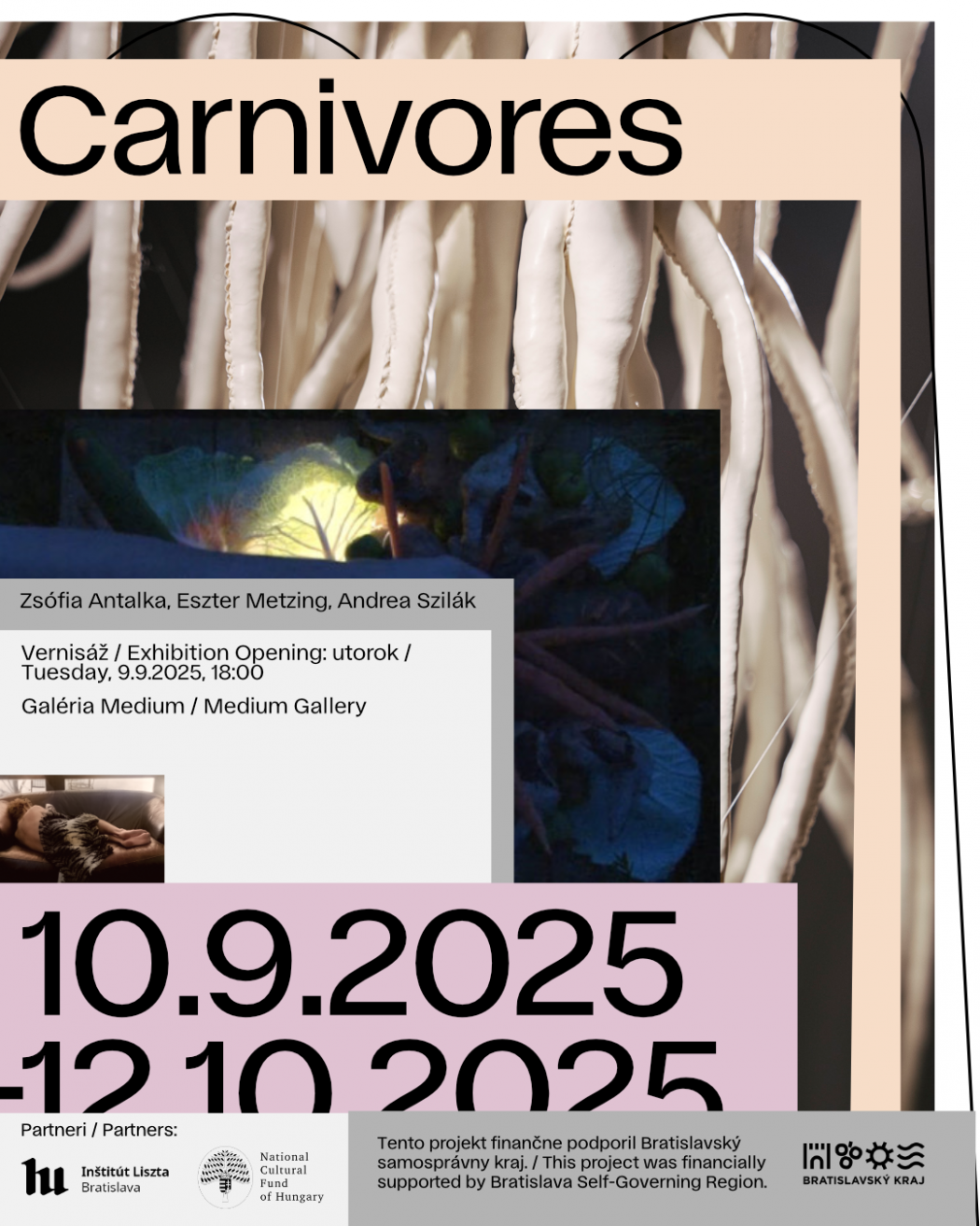 Plagát výstavy „Carnivores“. Hore veľký čierny nápis „Carnivores“ na krémovom páse; v pozadí makrofotografia bielych rúrkovitých útvarov pripomínajúcich mäsožravé rastliny, uprostred tmavý panel so žiariacim listom a malý záber ruky s kožušinou. V dolnej časti ružovo-fialový blok s obrovskými dátumami „10.9.2025 – 12.10.2025“. Textové údaje: autorky Zsófia Antalka, Eszter Metzing, Andrea Szilák; vernisáž utorok 9.9.2025 o 18:00; miesto Galéria Medium. Dole pás s logami a informáciou o podpore Bratislavského samosprávneho kraja; partneri Inštitút Liszta Bratislava a National Cultural Fund of Hungary.