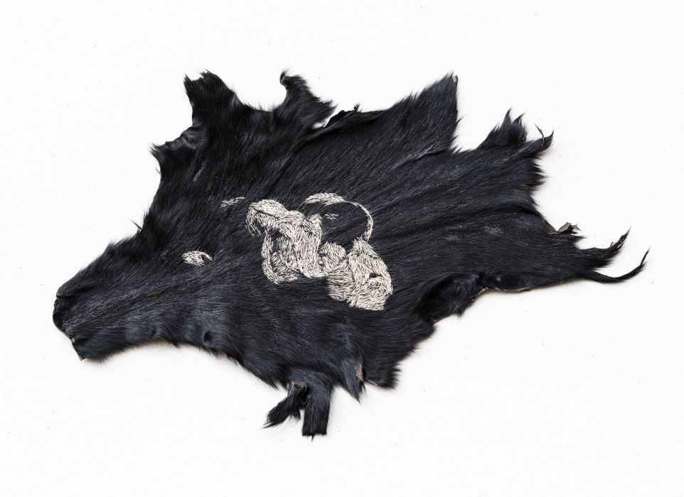 Gašpar's visions, 32x19 cm, hand-embroidery, fur, cotton thread