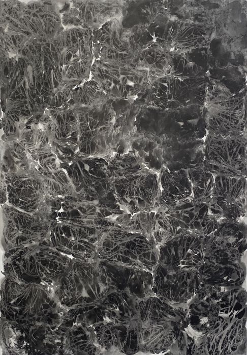 bakalárska práca, LS