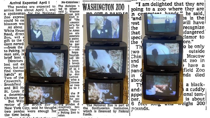 Arent they cute, 2024_2025
