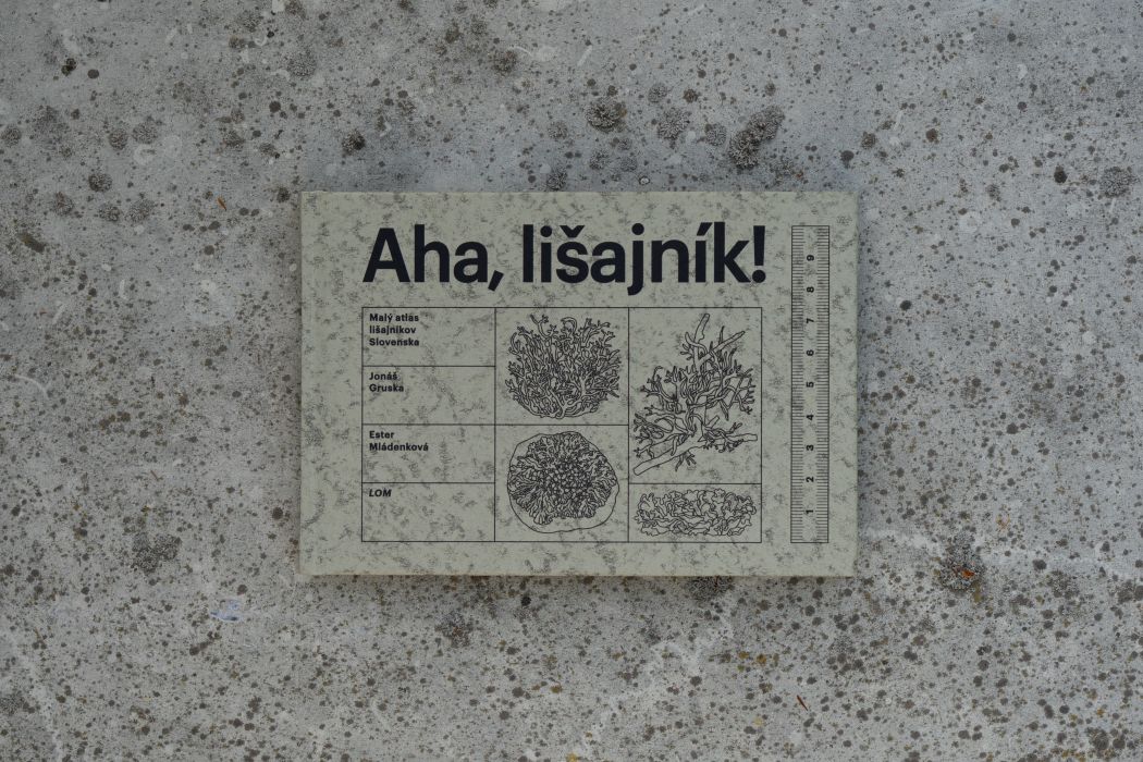 Aha Lišajník!
