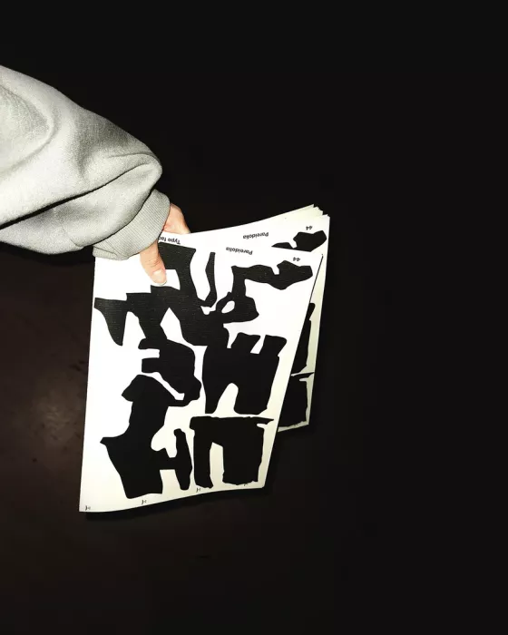 Publikácia Pareidolia